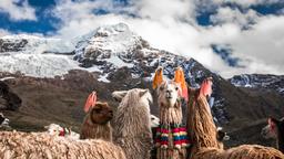Hotels a Cusco prop de Museo de Plantas Sagradas Magicas y Medicinales