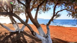 Troba vols barats a Chania