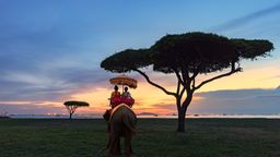 Troba vols barats a Phuket City