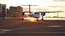 Troba vols barats a Porter Airlines