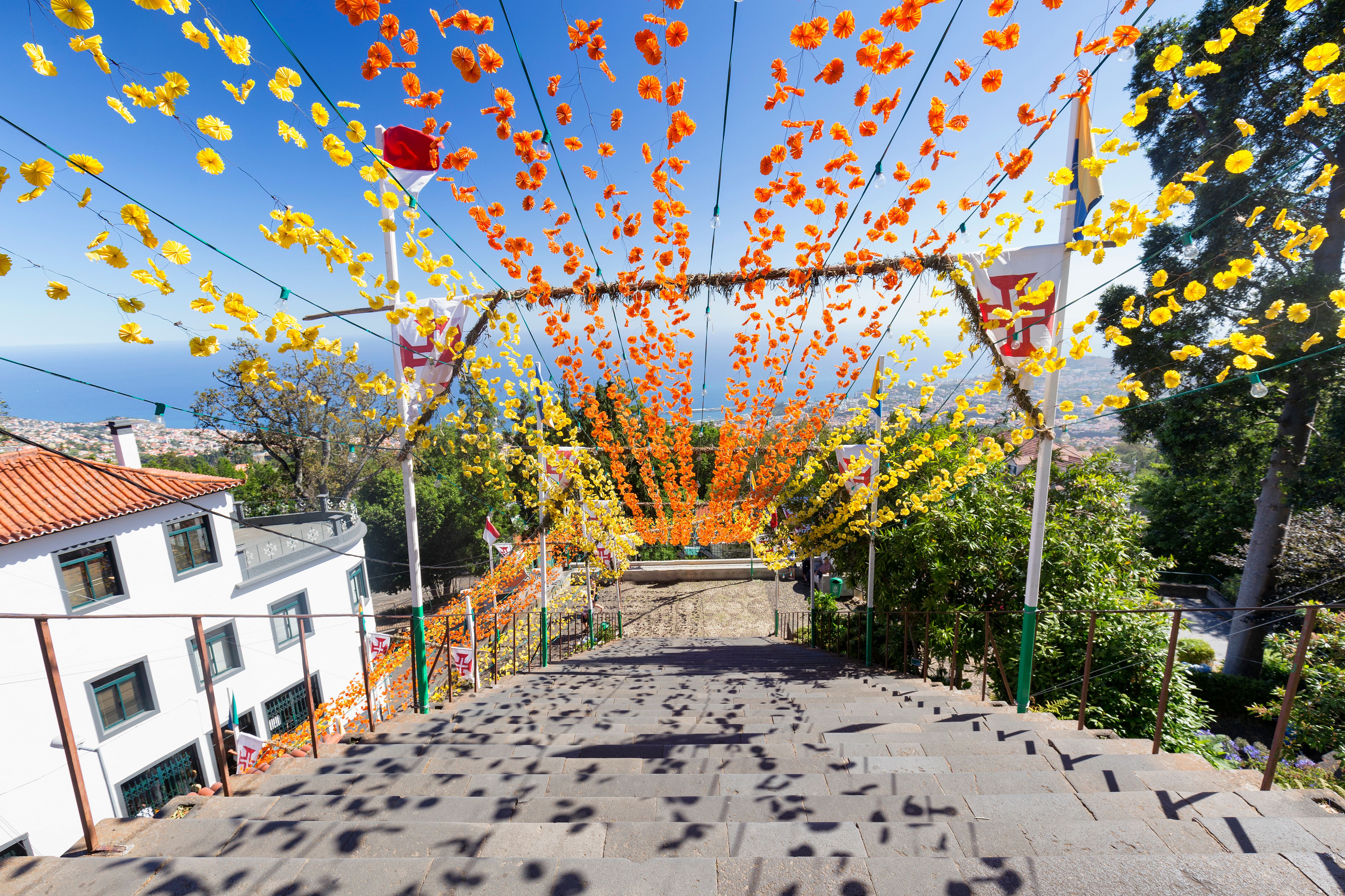 Troba vols barats a Funchal