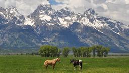 Hotels a prop de Aeroport de Jackson Hole
