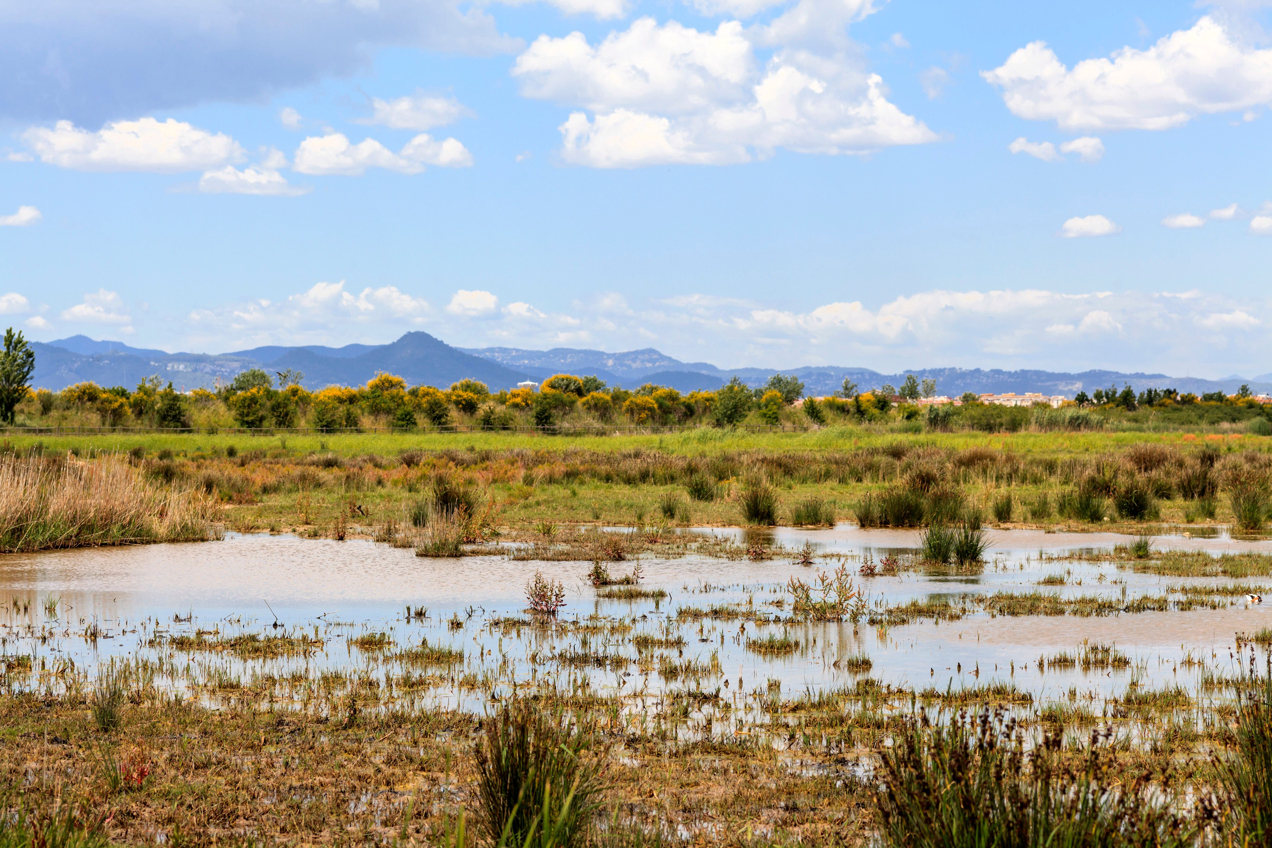Cotxes de lloguer a El Prat de Llobregat