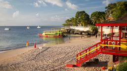 Lloguers de vacances a Tobago
