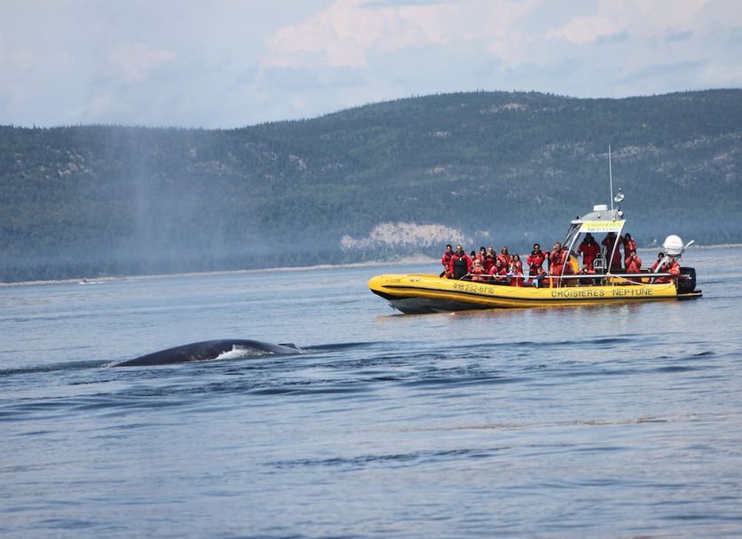 Servei de l'hotel Foto