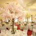 Sala de banquets
