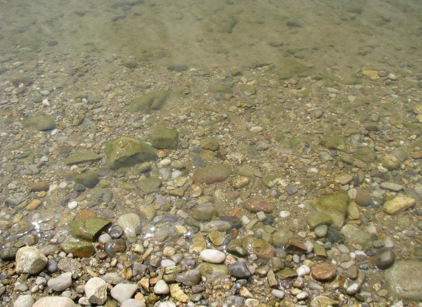 Altres Foto