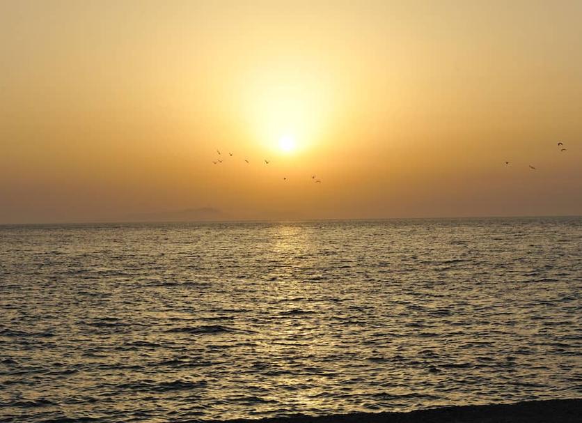 Altres Foto