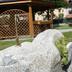 Altres