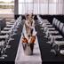 Sala de banquets