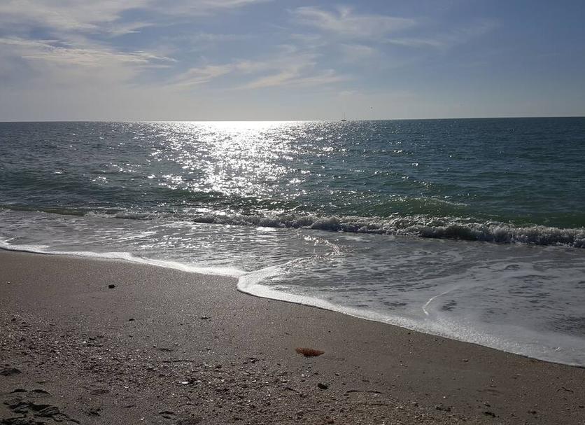 Platja Foto