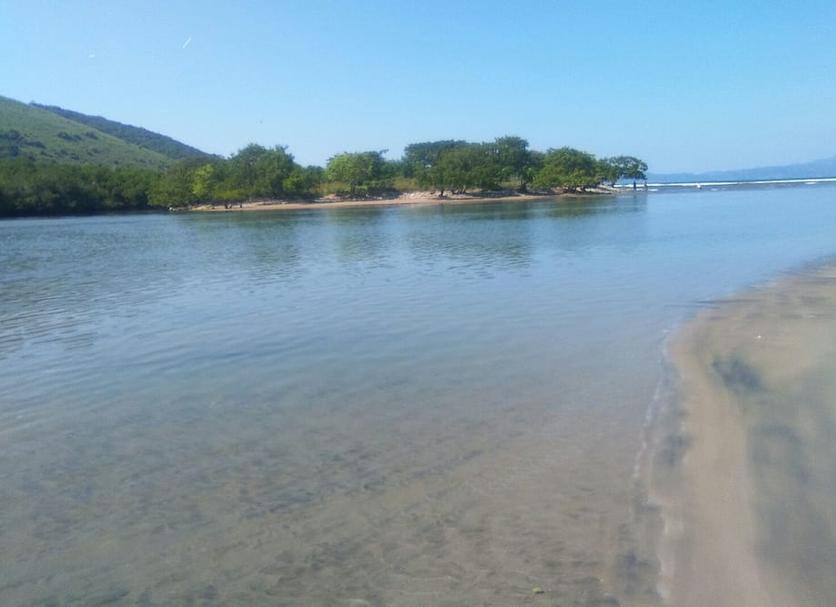 Altres Foto