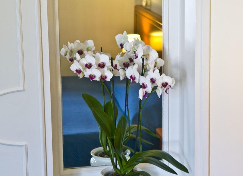 Serveis de l’habitació Foto