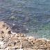 Altres