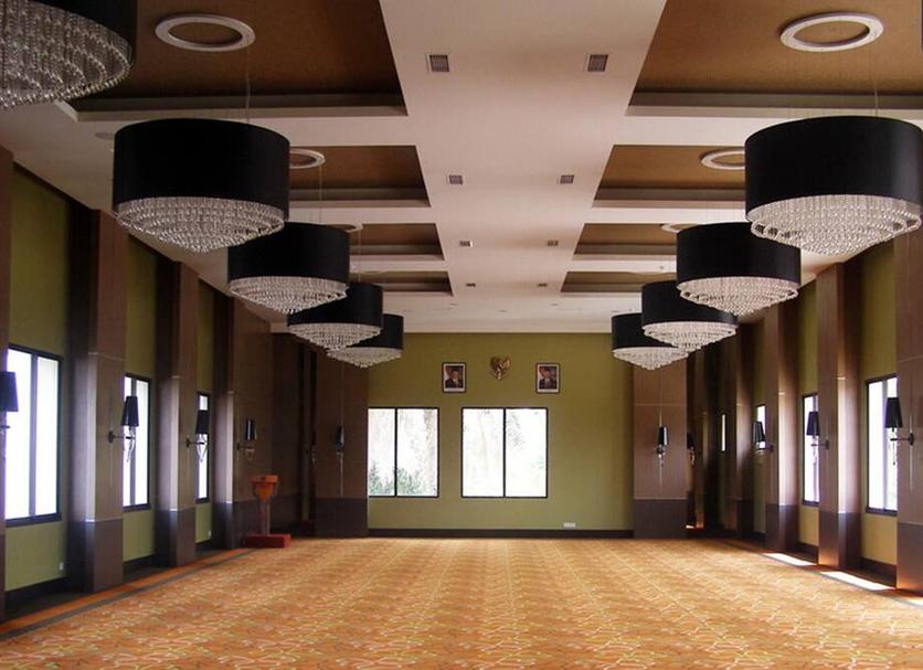 Sala de conferències Foto
