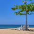 Platja