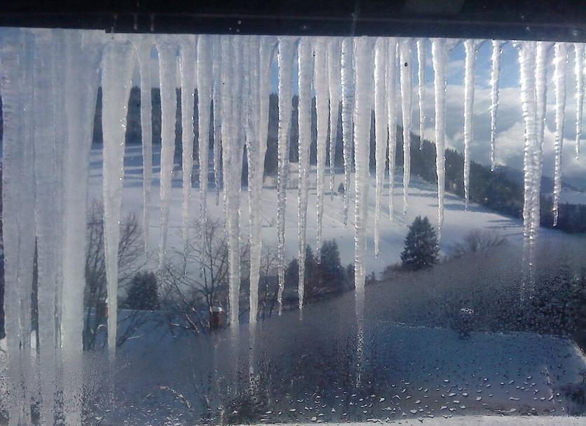 Altres Foto