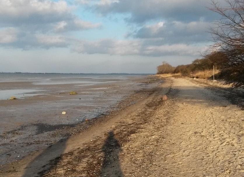 Platja Foto