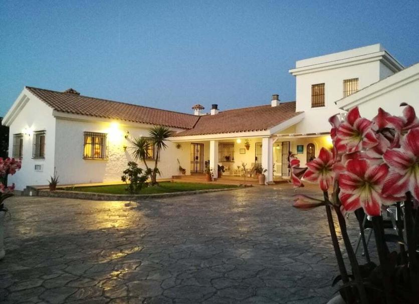 Edifici Foto
