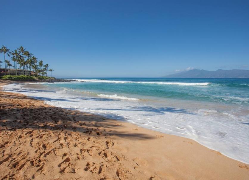 Platja Foto
