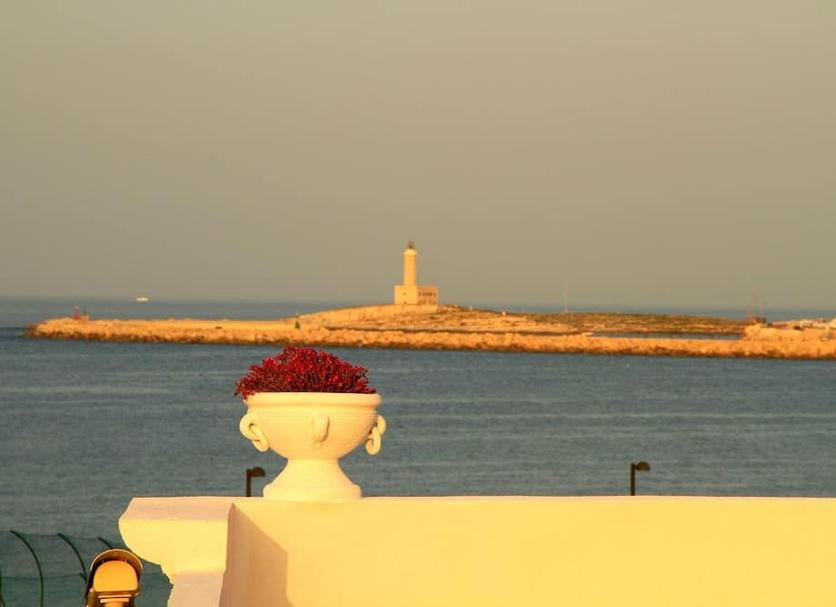 Altres Foto