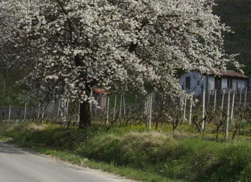 Vista exterior Foto