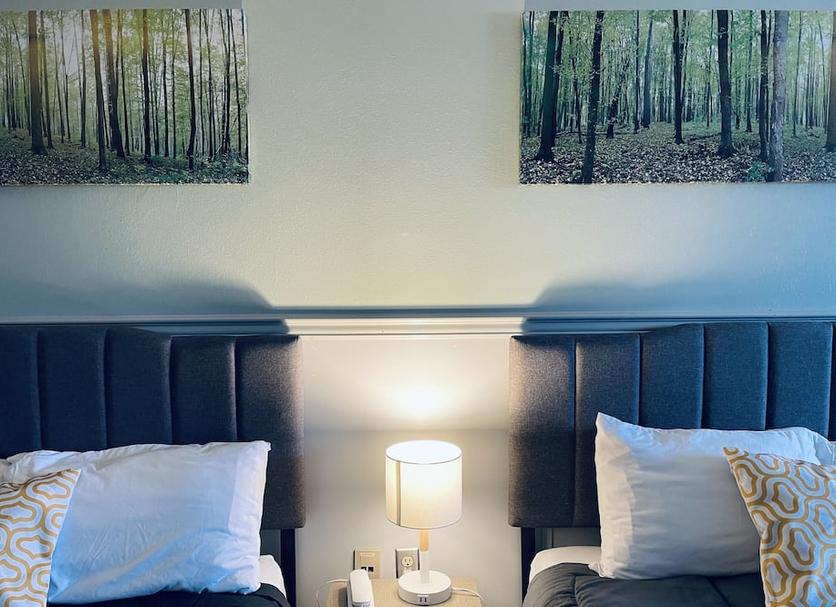 Serveis de l’habitació Foto