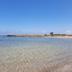 Altres