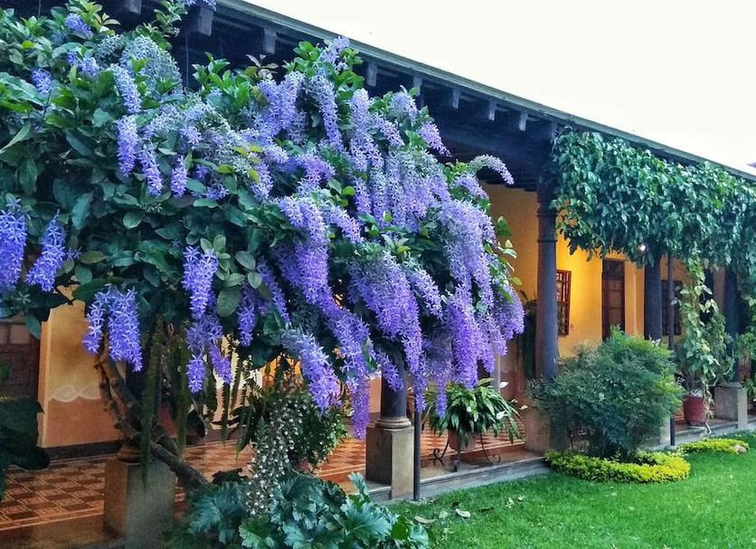 Vista exterior Foto