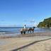 Platja