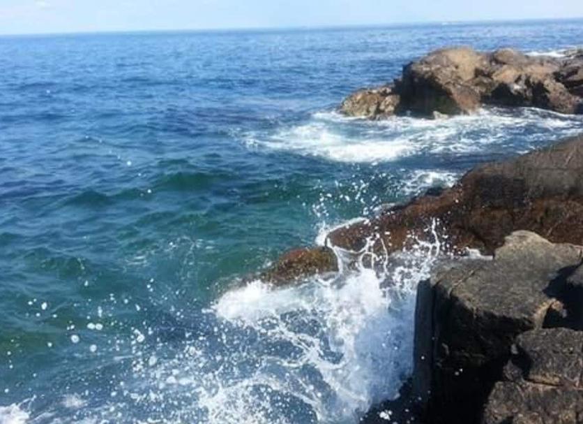 Altres Foto
