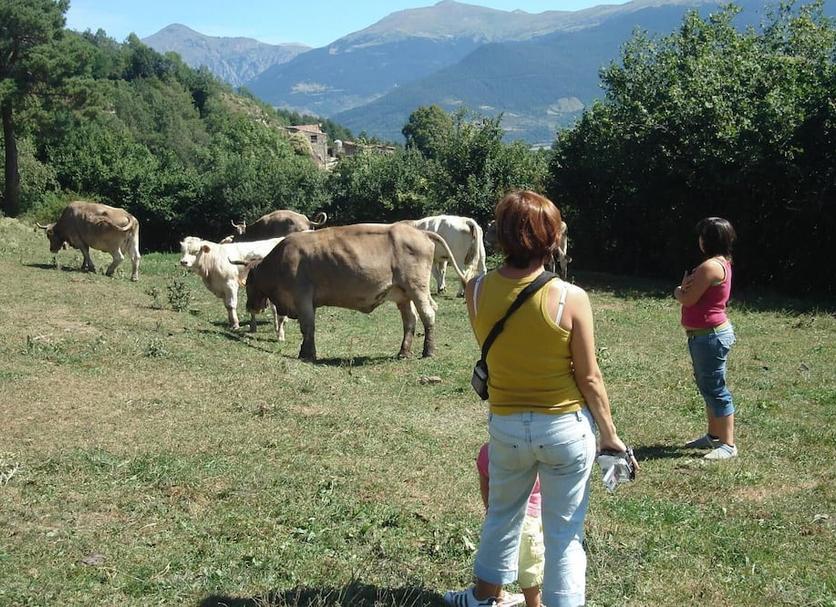 Altres Foto