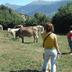 Altres