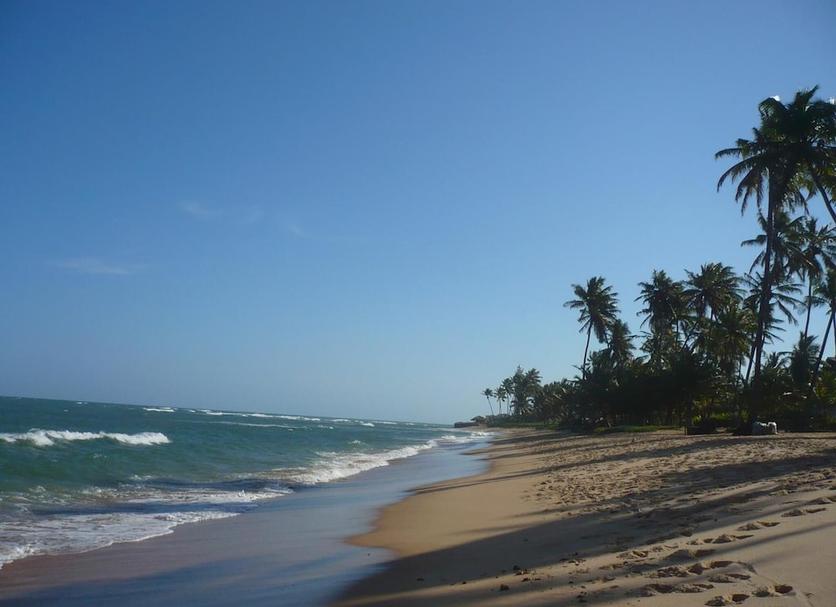 Platja Foto