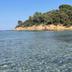 Altres