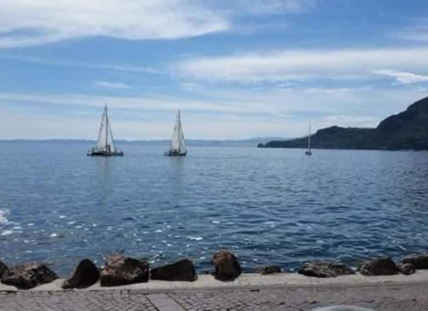 Altres Foto