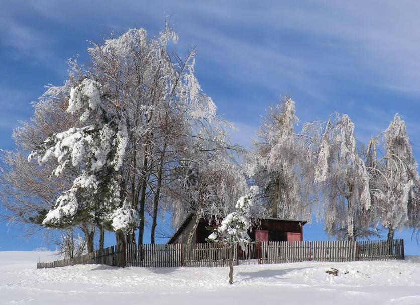 Altres Foto
