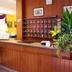 Recepció