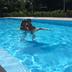 Altres