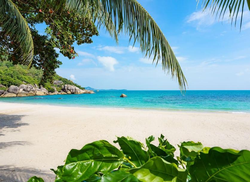 Platja Foto