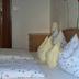 Altres