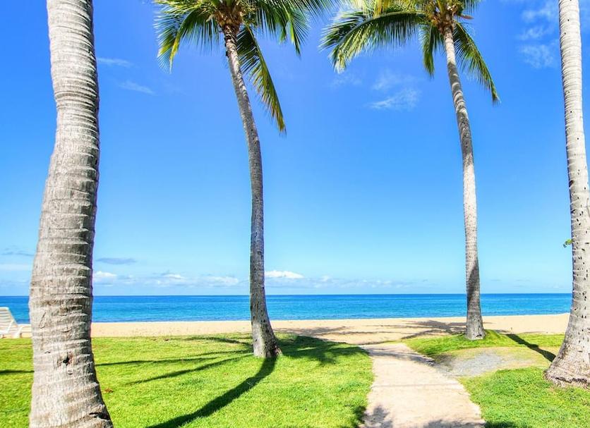 Platja Foto