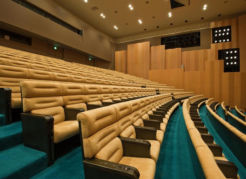 Sala de conferències Foto