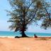 Platja