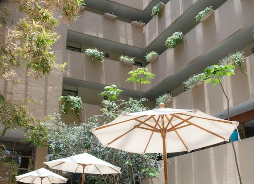 Edifici Foto
