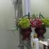 Serveis de l’habitació