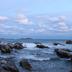 Altres