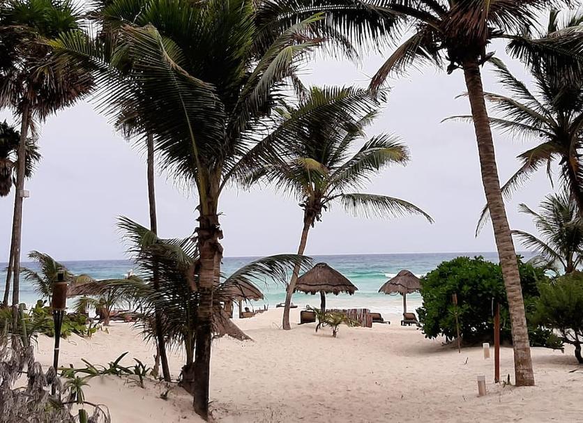 Platja Foto