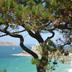 Platja