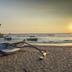 Platja